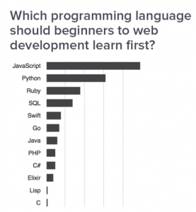 rating-of-programming-languages-for-web-development-binarymove